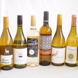 余韻に酔いしれるシャルドネ白ワイン8本セット(アルパカ ネセミヨン辛口Alc.12.5%(チリ) ノルテ スルAlc.13%(スペイン) デル スール辛口Alc.13%(チリ) ヴィーニャ サン エステバン クラシックAlc.13%(チリ) ソムリエAl