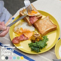【単品】TAMAKI 北欧テイスト ルオント プレートL 重なるお皿うつわ おしゃれ かわいい シンプル カフェ 北欧 韓国 台湾 食器 お皿 ひとり暮らし 一人暮らし 就職 引っ越し 母の日【TOTU】