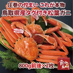 タグ付き特上松葉ガニ(ボイル)大サイズ2枚で1.6kg前後　送料無料(ズワイガニ 姿 ずわい蟹 ずわいがに かに カニ 蟹)ご予約　11月解禁後順次発送