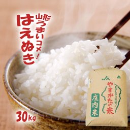 はえぬき 30kg (精米後約27kg) 山形県産 令和7年産