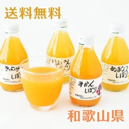 【送料無料】伊藤農園 100％ピュアジュース 10本【誕生日 結婚祝い 出産祝い 還暦祝い 結婚記念日 送別会 お祝い 引越し祝い 新築祝い 初節句 古希 喜寿 傘寿 お返し 内祝い お見舞い 快気祝い 金婚式 銀婚式 パーティー 景品 賞品 グルメ 母 父 女性 男性 両親 友達 親戚 上司 先輩 後輩 家族 子供 大人 彼氏 彼女 夫婦】【敬老の日 残暑見舞い】