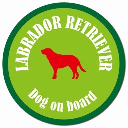 カラフル Dog on board ラブラドールレトリバー ライトグリーン&グリーン カーサイン 車 マグネットステッカー 犬 マグネット 強力 直径13cm 丸型 おしゃれ かわいい ドラレコステッカー 安全対策 危険運転 煽り運転 アニマル 動物 犬種別 屋外 防水 屋内