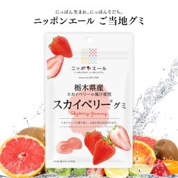 【メール便配送】ご当地グミ ニッポンエール 栃木県産 スカイベリーグミ ご当地 お菓子 グルメ お土産 名産 果実グミ 全国農協食品