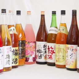 贅沢梅酒10本セット(おばあちゃんの梅酒 芳醇ブランデー仕立チョーヤ梅酒 ローズ梅酒(愛知) 芋焼酎仕込五代梅酒(鹿児島) 国産梅100%夢の実(宮崎) 青梅使用小正の梅酒(鹿児島) 赤しそ赤い梅酒(和歌山) 米焼酎仕込はんなり梅酒(京都) 蜂蜜梅酒(和