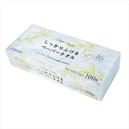 しっかりふけるペーパータオル100枚 LD-924  粗品 景品 記念品 来場記念 来店促進 ノベルティ プチギフト