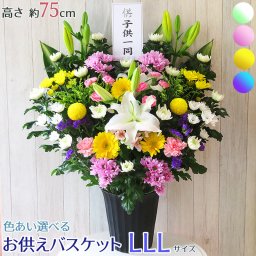 新盆 初盆 盆花 お供え 花 バスケット LLLサイズ お悔やみ お彼岸 生花 枕花 供花 アレンジ 命日 周忌 法事 仏花  菊 白菊 大輪 ユリ アレンジメント フラワー  お盆 新盆 初盆 お彼岸 花 和風 和花 洋花 ボリューム 容器付  ■お供えバスケットLLL■