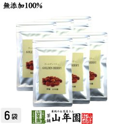 【無添加100%】ゴールデンベリー 100g×6袋セット ペルー産またはコロンビア産 ダイエット ほおずき インカベリー サプリ ドライフルーツ スープ スムージー スーパーフード 苗 セット ギフト プレゼント プチギフト お茶 敬老の日 2026 内祝い