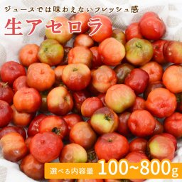 【国産 生アセロラ】アセロラの奇蹟 生 アセロラ 希少フルーツ 果物 フレッシュ 産地直送 美容 ビタミンC フレッシュ果実 お取り寄せ【ヤマトチルド便・送料無料】