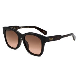 クロエ Chloe サングラス アイウェア アジアンフィット UVカット CH0194SK-002 ウェリントン型 メンズ レディース ユニセックス ハバナ+コッパーグラデーション