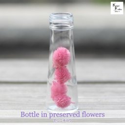 大地農園「ボトルインフラワー　センニチコウ　千日紅　プリンセスピンク　4個　円錐50ml」プリザーブドフラワー　プリザ　ハーバリウム　小花 ドライフラワー ハーバリウム アロマワックスバー サシェ キャンドル 花材