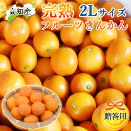 贈答用 きんかん 山北のキンカン 2L 750g 1.5kg 完熟 フルーツきんかん 高知産 高知県山北産 キンカン 金柑 蜜柑 柑橘 ギフト 贈り物 蜜柑の産地高知県の山北地区で育てた完熟キンカンを産地直送します【送料無料】[ヤマト発送]