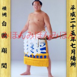白鵬翔関　優勝ミニ額 大相撲ミニ額 大相撲優勝額　平成２５年７月場所 優勝 横綱 白鵬翔関（２６回目の優勝） ※受注生産品のため、ご注文後はいかなる理由でも返品、返金はできません