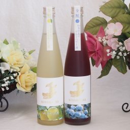 愛知果物キュール2本セット(日本酒ブレンドベルガモットオレンジ 焼酎ブレンドブルーベリー) 500ml×2本