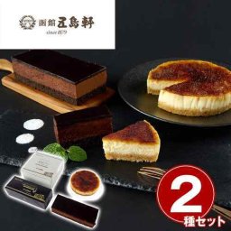 五島軒 老舗 ケーキ 2種セット 冷凍 北海道 函館 チーズケーキ チョコレートケーキ スイーツ お取り寄せ ギフト