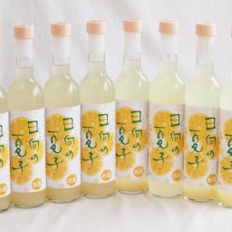 8本セット(日向夏果汁リキュール 日向の夏子  12% 井上酒造(宮崎県)) 500ml×8本