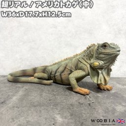 置物 アメリカトカゲ 中 かわいい オブジェ 北欧 動物 横幅36cm woobia ウービア 大きい おしゃれ ガーデン インテリア プレゼント 玄関 雑貨 モダン 面白い 庭 ギフト 屋外 家 リアル 玄関先 ガーデンオーナメント