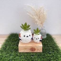 【シマエナガM】モスビー 多肉植物 インテリア プレゼント 癒し ギフト 母の日 父の日 クリスマス 敬老の日 かわいい バレンタイン 植物 プレゼント マグネット シマエナガ 動物 観葉植物 北海道
