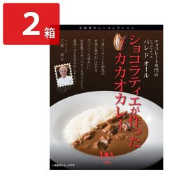 パレドオール ショコラティエが作ったカカオカレー 2箱 レトルトカレー ご当地 カレー 温めるだけ 惣菜 ポスト投函便