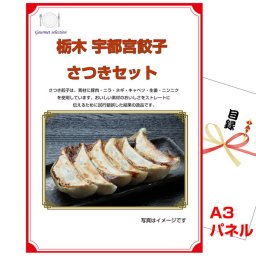 ビンゴ・二次会の景品はお任せ ゴルフコンペ 景品 パネル 目録 栃木 宇都宮餃子さつきセット A3景品パネル＆引換券付き目録 （kaeg101-2t） ビンゴ 二次会 イベント 抽選会