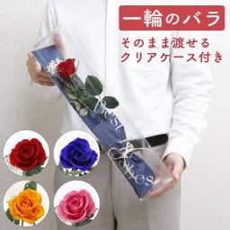 バラ 1輪 プリザーブドフラワー 花束 ブーケ 高級 薔薇 ローズ ギフト プレゼント 女性 彼女 妻 誕生日 記念日 プロポーズ 告白 結婚祝い 結婚式 電報 退職祝い 還暦祝い おしゃれ 枯れない 花