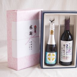 実りの秋の贈り物 感謝の贈り物ボックス瀬戸内産レモン薩摩流の炭酸リキュールと国産ワインセット(酸化防止剤無添加 信州コンコード赤ワイン 甘口(長野県)720ml信州シャインマスカット＆ナイアガラスパークリング500ml