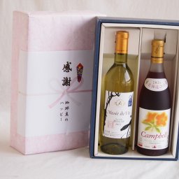 実りの秋の贈り物 感謝の贈り物ボックス 長野県産善光寺竜眼白葡萄100%と国産ワインセット(北海道の詩 プレミアムキャンベル赤ワイン 甘口(北海道)720mlミュゼドゥヴァン 善光寺竜眼白ワイン(長野県) 720ml