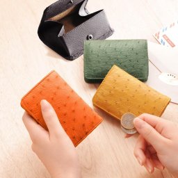 オーストリッチ 小銭入れ コインケース 本革 レディース BOX型 財布【ネコポスで送料無料】ボックス 母 女性 プレゼント サイフ 本革 コンパクト財布 ミニ財布 小銭入れ 母の日 (9992r) クリスマス 春財布 小銭入れ 定年退職 バレンタイン 成人祝い