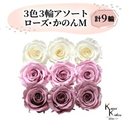 大地農園 「ローズかのんM 3色×3輪アソート 計9輪」 「アンティックホワイト クリスタルピンク グレイッシュパープル」　プリザーブドフラワー バラ プリザ 花材 ハーバリウム おしゃれ かわいい プレゼント 贈り物 オオチノウエン