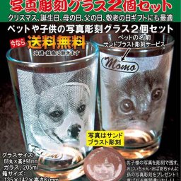 ペット（犬・猫）写真彫刻グラス2個セット、送料無料(沖縄と離島を除く)、クリスマス、母の日、父の日、敬老の日ギフト、誕生日、特価販売、名入れ無料、ペット、お皿、自分用、ギフト