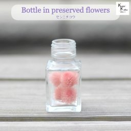 大地農園「ボトルインフラワー　センニチコウ　千日紅　バニラピンク　4個　スクエア50ml」プリザーブドフラワー　プリザ　ハーバリウム　小花 ドライフラワー ハーバリウム アロマワックスバー サシェ キャンドル 花材