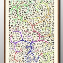 生き物図鑑 動物 昆虫 爬虫類 A3 サイズ ポスター アート おしゃれ 絵画 インテリア 北欧 イラスト マット紙 艶消し アートパネル 額 フレーム デザイン 壁掛け ギフト 新築祝い ディスプレイ 引越し祝い　新生活　空間デザイン 