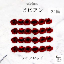 大地農園！プリザーブドフラワー 「ビビアン ワインレッド 24輪(1箱)」  プリザ 花材 ハーバリウム  おしゃれ かわいい プレゼント 贈り物 オオチノウエン バラ 薔薇 ローズ rose