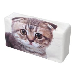 ねこのティッシュケース スコティッシュフォールド    明邦