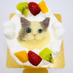 写真がそのままお顔に！にゃんこ立体ケーキ【9cm～18cm】