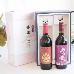 実りの秋の贈り物 感謝の贈り物ボックス マーガオの柑橘香麦焼酎と国産ワインセット(おたる醸造 キャンベルアーリ赤ワイン 辛口(北海道)720ml濱田酒造 麦焼酎 チルグリーン ビター＆トロピカル(長崎県) 750ml