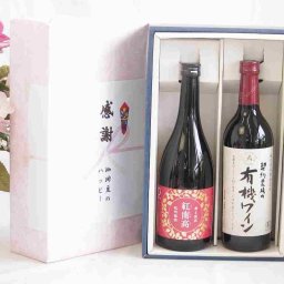 夏の贈り物お中元 感謝の贈り物ボックス 香る南高梅酒 紅南高と酸化防止剤無添加ワインセット(酸化防止剤無添加 契約農場の有機赤ワイン やや甘口(長野県)720ml紅南高 紀州梅酒(和歌山県)720ml