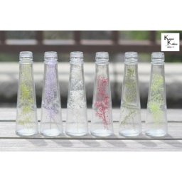 大地農園「ボトルインフラワー　カスミソウ　12色選べる　12本セット　1ｇずつ　円錐120ml」プリザーブドフラワー　プリザ　ハーバリウム　小花 ドライフラワー ハーバリウム アロマワックスバー サシェ キャンドル 花材
