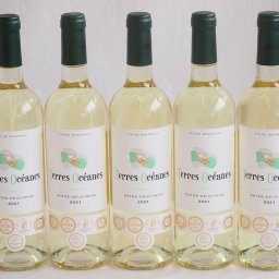 5本セット(格上フランス5冠金賞受賞 白ワイン テールオセアン) 750ml×5本