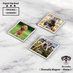 ペット オリジナル 角形マグネット 49mm 犬 ペット メモリアル 写真 手作り フォト うちの子グッズ プレゼント 誕生日 記念日 記念品 愛犬 供養 母の日 父の日 SHUNADIA シュナディア
