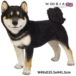 柴犬 置物 大きい 立っている黒柴犬 グッズ 特大 横幅49cm woobia ウービア かわいい おしゃれ ガーデン インテリア オブジェ 巨大 可愛い プレゼント 北欧 玄関 雑貨 動物 モダン 面白い 庭 ギフト 屋外 家 リアル 玄関先 ガーデンオーナメント