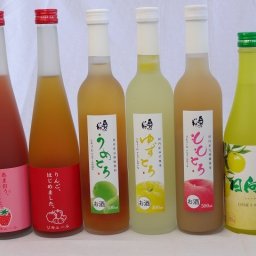 フルーツバラエティリキュールセット6本 (あまおう りんご梅酒 うめとろ ももとろ ゆずとろ日向夏) 500ml×6本