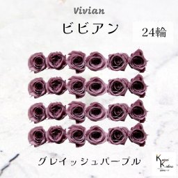 大地農園！プリザーブドフラワー 「ビビアン グレイッシュパープル 24輪(1箱)」  プリザ 花材 ハーバリウム  おしゃれ かわいい プレゼント 贈り物 オオチノウエン バラ 薔薇 ローズ rose