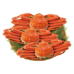 ボイルずわいがに姿3尾 (500×3) ※送料無料(北海道・沖縄・離島への配送不可)