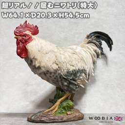 置物 鳥 かわいい 北欧 動物 屈むニワトリ 特大オブジェ 鶏 横幅64.1cm woobia ウービア 大きい おしゃれ ガーデン インテリア 大型 巨大 プレゼント 玄関 雑貨 モダン 面白い 庭 ギフト 屋外 家 リアル 玄関先 ガーデンオーナメント