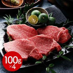 飛騨牛 ヒレステーキ 400g 100g×4枚 JAひだ 岐阜県産 黒毛和牛 3等級以上 A5 A4 A3 ステーキ肉 ヒレ フィレ ヘレ テンダーロイン 肉 牛肉 和牛 国産 ブランド牛 冷蔵 チルド 高級 ギフト お歳暮 御歳暮 お中元