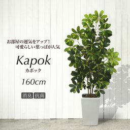 人工観葉植物 フェイクグリーン 観葉植物 造花 光触媒 大型 シェフレラ ナチュラル カポックツリー 160cm 鉢植 斑入り フェイク グリーン インテリア おしゃれ CT触媒 お祝い 父の日[fd]
