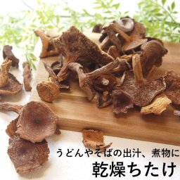 乾燥ちち茸 40g×10袋 ちたけ 乳茸 チチタケ ちちたけ チタケ 通販 キノコ きのこ なまため 祝 ギフト  ヘルシー  母の日