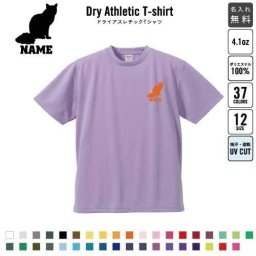 バリニーズ  名入れドライTシャツ お名前入り 練習着 レディース メンズ ウェア トップス 運動着 スポーツウェア ジョギング 吸汗速乾 チームTシャツ クラスTシャツ UVカット ピクトグラム 猫　ネコ　ねこ　キャット　ペット