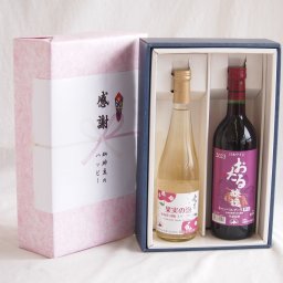 実りの秋の贈り物 感謝の贈り物ボックス林檎スパークリングと国産ワインセット(おたる醸造 キャンベルアーリ赤ワイン 辛口(北海道)720ml果実の泡 北海道林檎スパークリング500ml 
