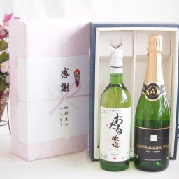 実りの秋の贈り物 感謝の贈り物ボックス おたる生葡萄100%ナイアガラワインと国産ワイン2本セット(塩尻ナイアガラスパークリング白ワインやや甘口(長野県)720mlナイアガラ白ワイン やや甘口(北海道)720ml